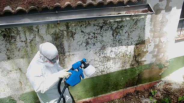 Top rated local Mold Remediation specialists in King of Prussia, PA